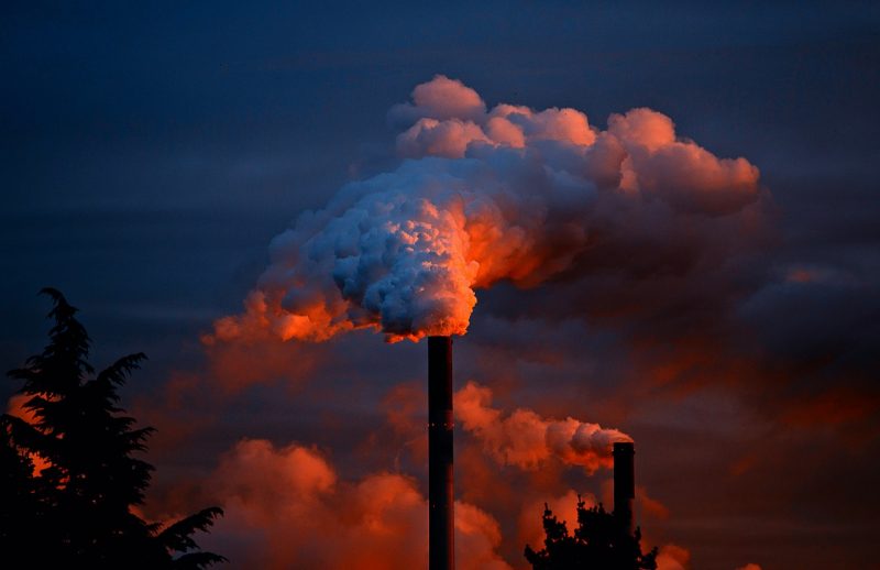 Weltweite Analyse Umweltverschmutzung verkürzt jedes sechste Leben