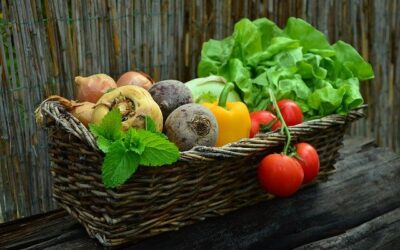 Warum Gemüse für unsere Gesundheit gefährlich werden kann – Lektine in unserer Nahrung